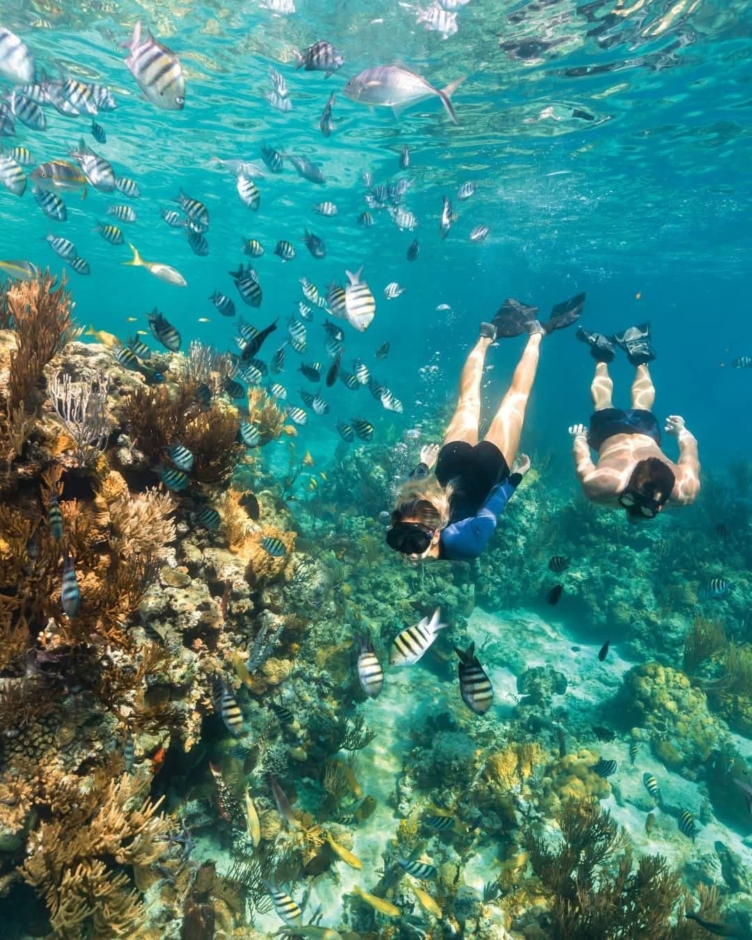 Snorkeling Experience
