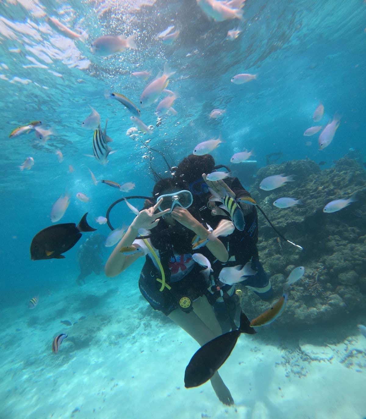 🤿 Intro Diving (Discover Scuba Diving)