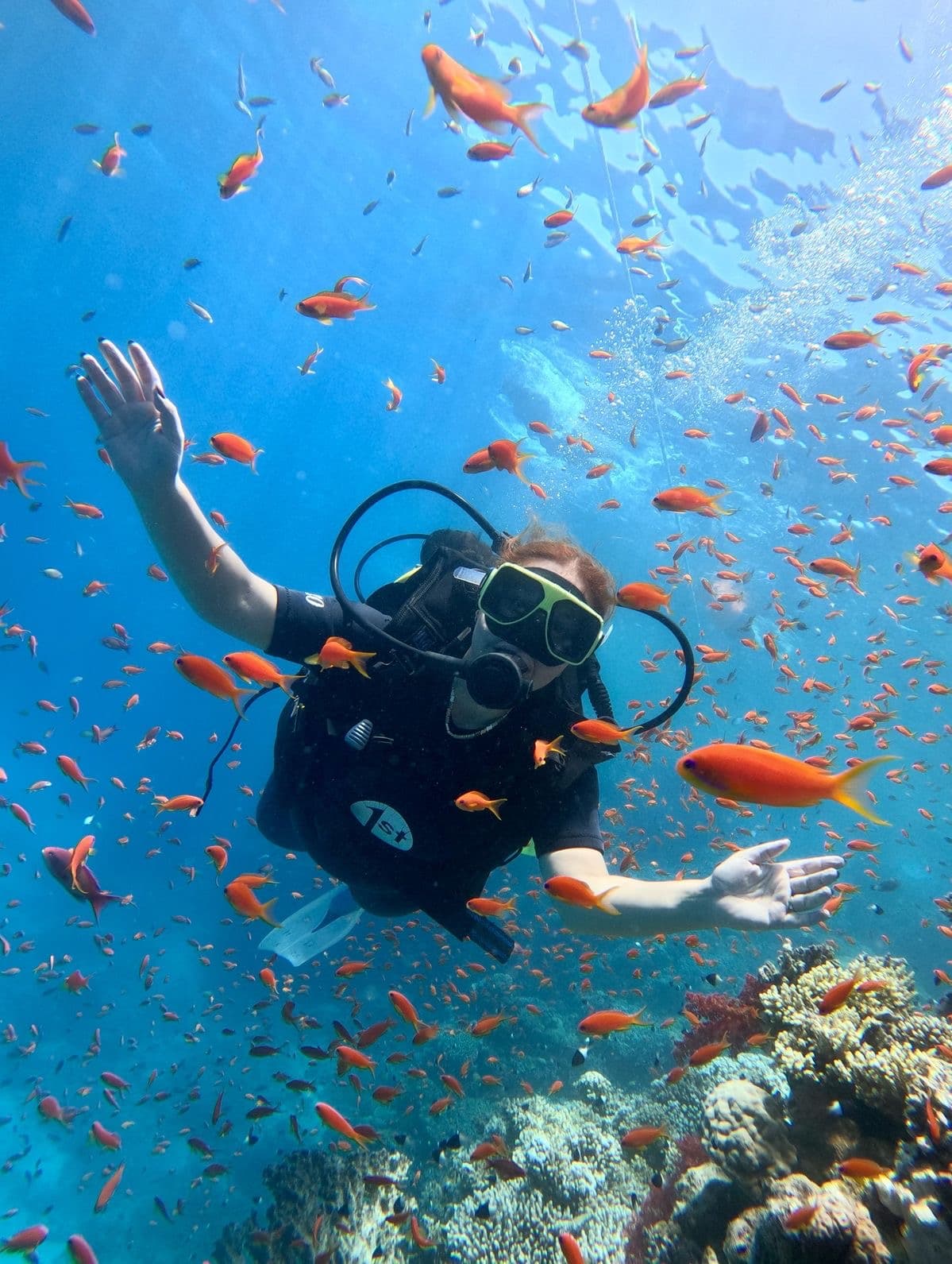 🐠 Full Day Diving Trip