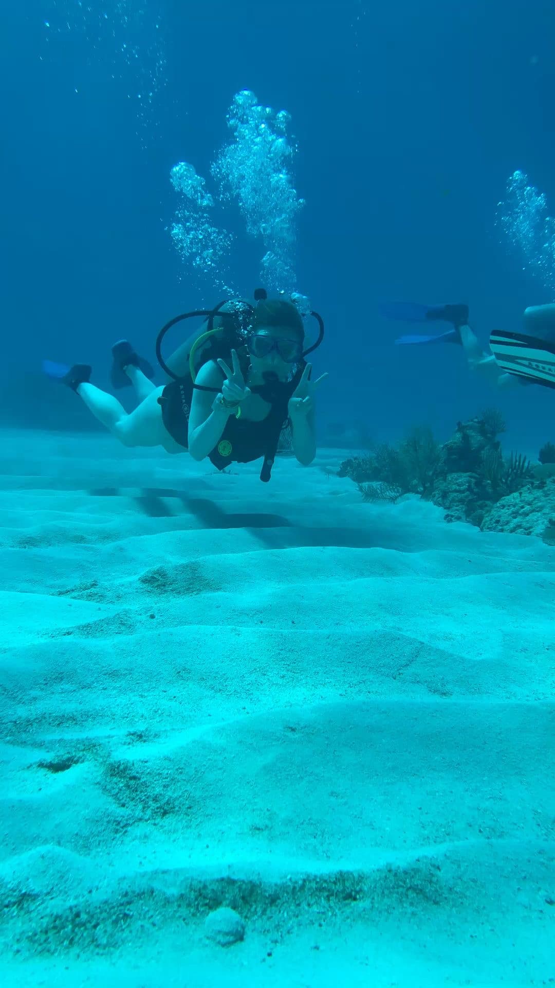🐠 Full Day Diving Trip 2