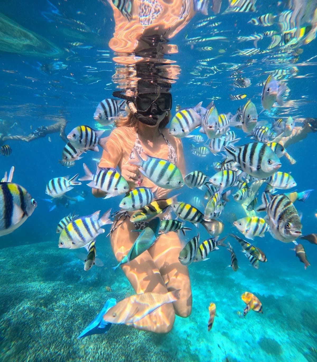 Snorkeling Experience 2