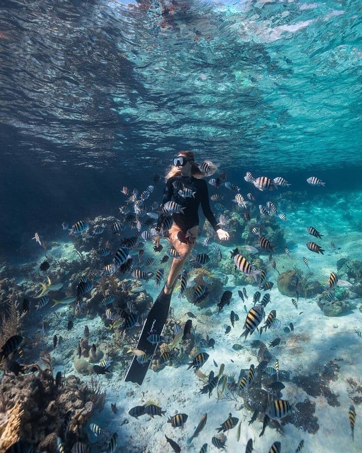 Snorkeling Experience 3
