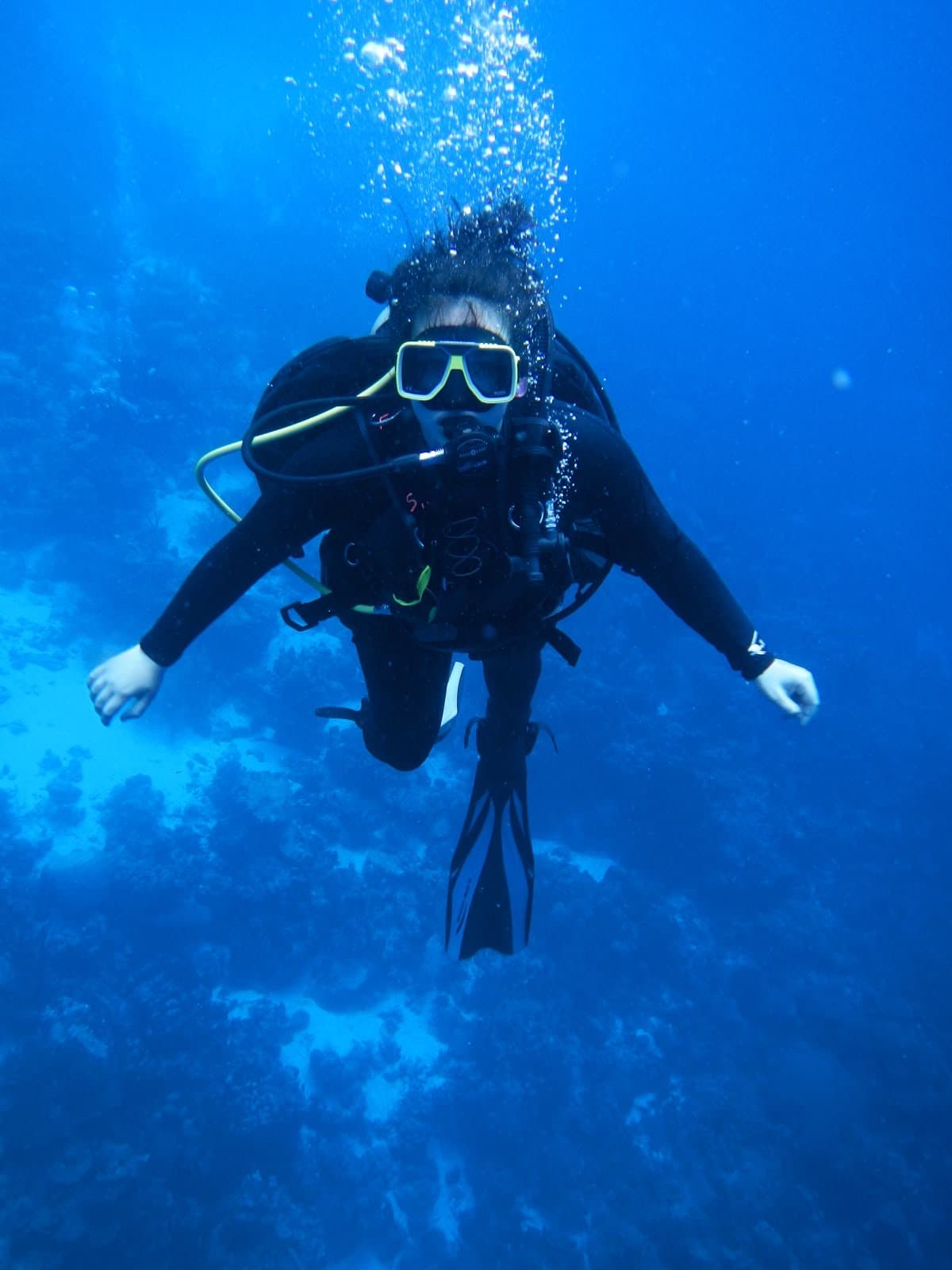 🤿 Diving Trips