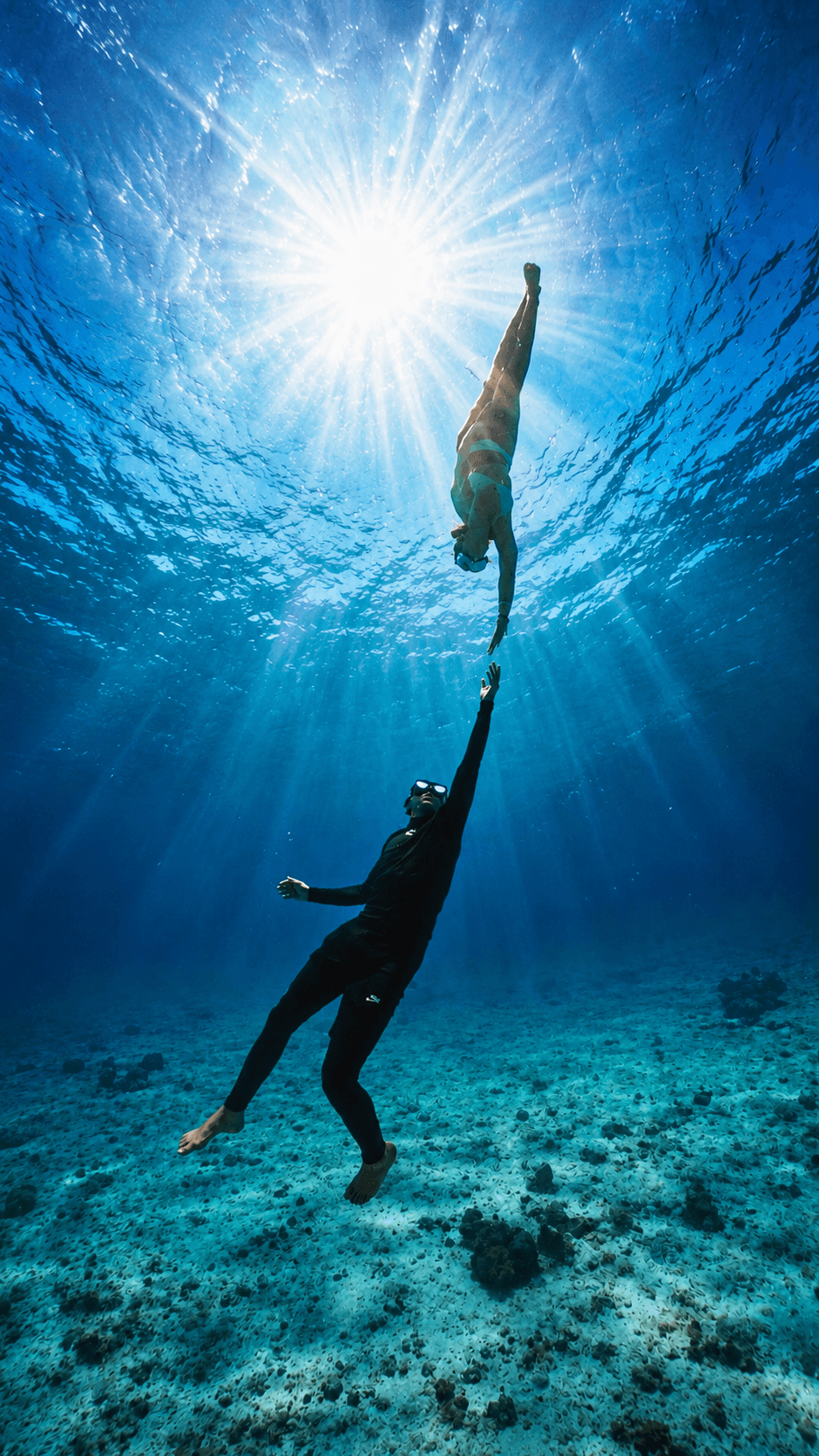🤿 Diving Trips