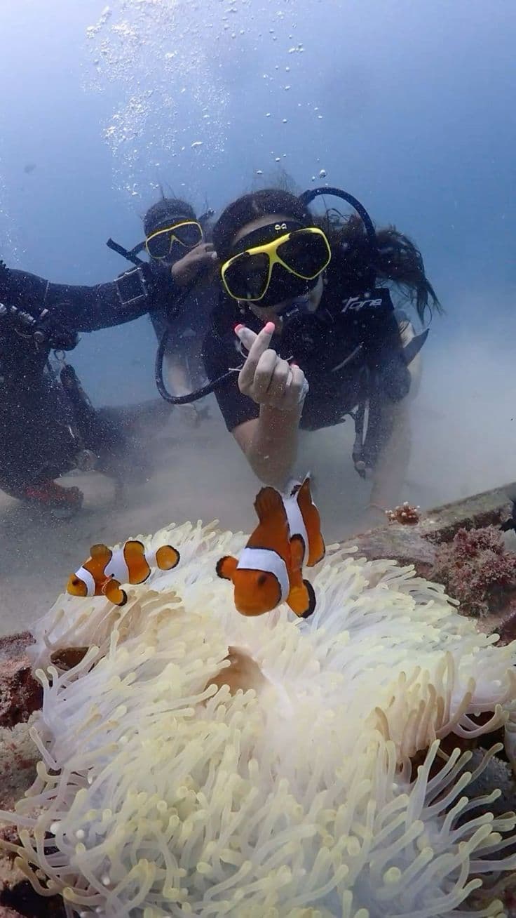 🤿 Diving Trips
